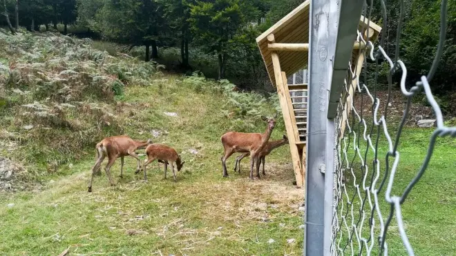 Tecnici dell’Ente Alpi Marittime al lavoro dalla Valle Stura alla Valle Tanaro