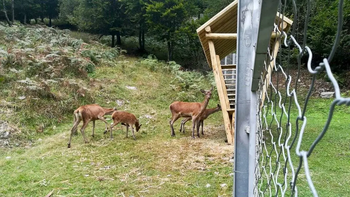 Tecnici dell’Ente Alpi Marittime al lavoro dalla Valle Stura alla Valle Tanaro