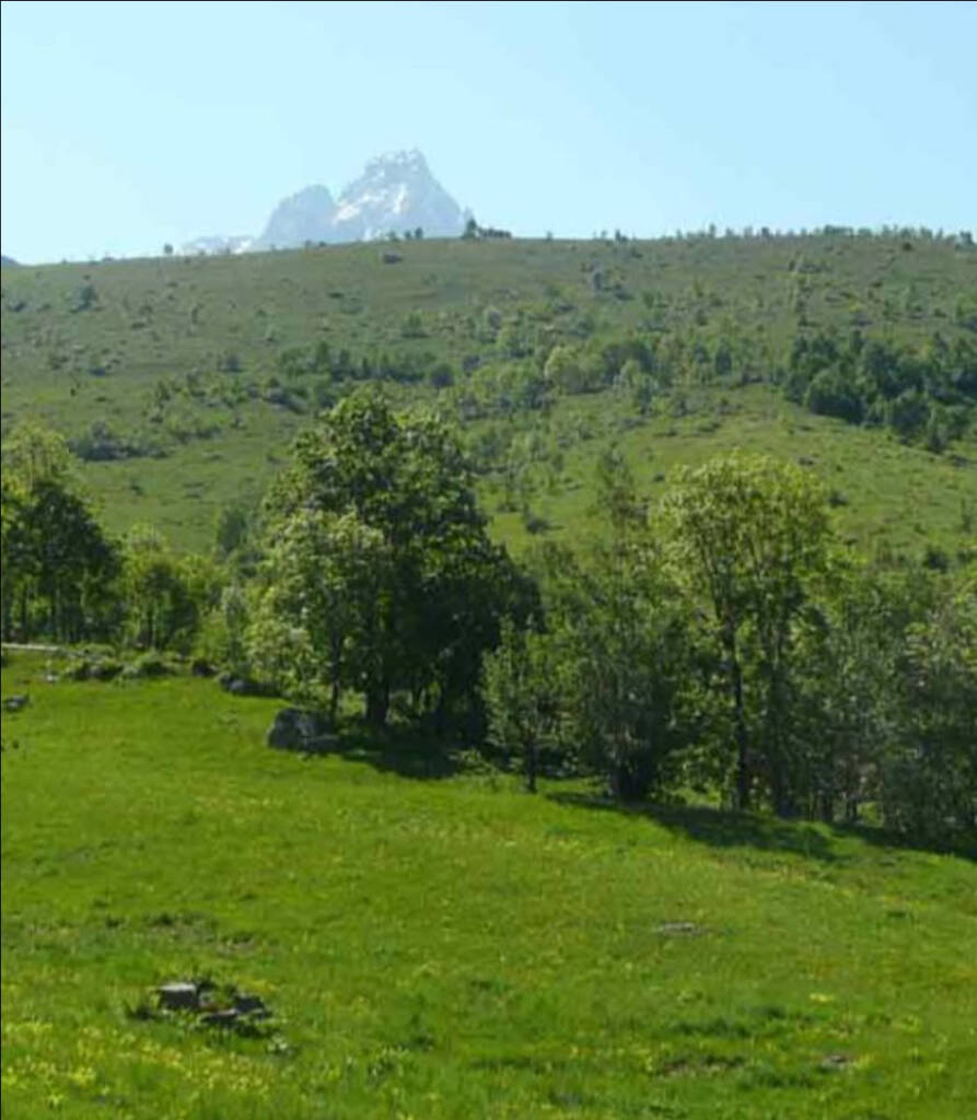 pascoli (foto unione montana valle varaita)