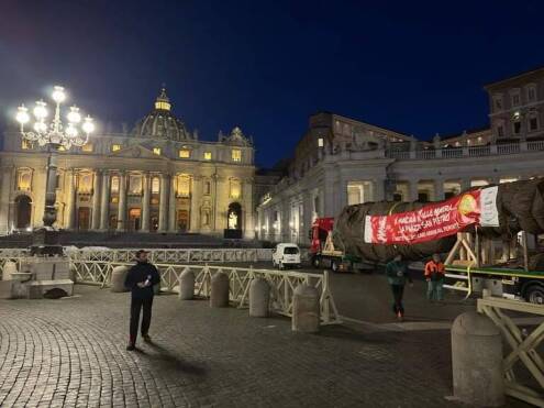 L’albero di Natale partito da Macra è arrivato in piazza San Pietro