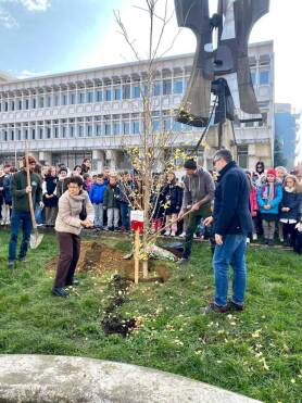 Saluzzo ha dedicato un albero a Giulia Cecchettin