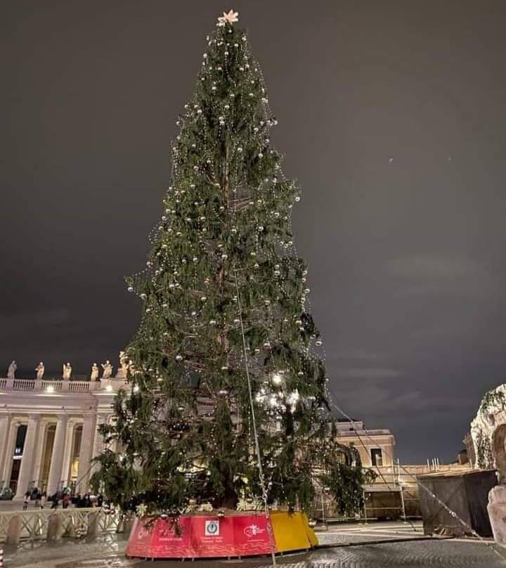 Bussone (Uncem): “Sindaci siano illuminati dalle luci dell’albero di Piazza San Pietro”