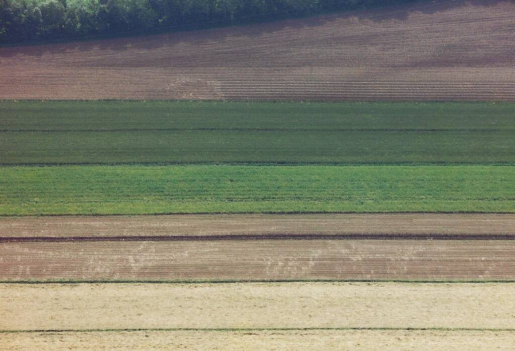 Cia Cuneo, i cinque assi di intervento proposti al Governo per rilanciare il mondo rurale