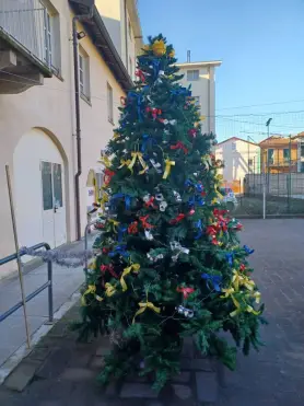 Savigliano, a Oasi Giovani un albero di Natale con 230 fiocchi colorati