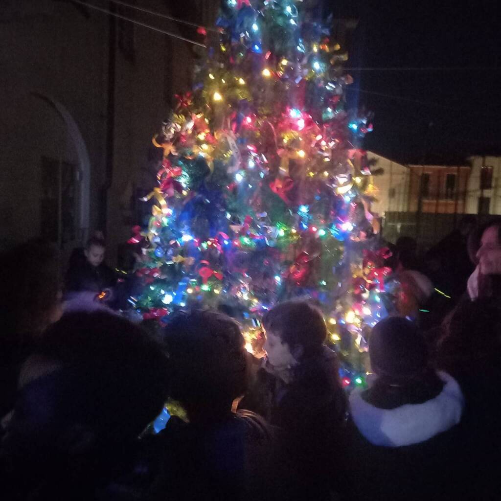 ALBERO di natale oasi giovani