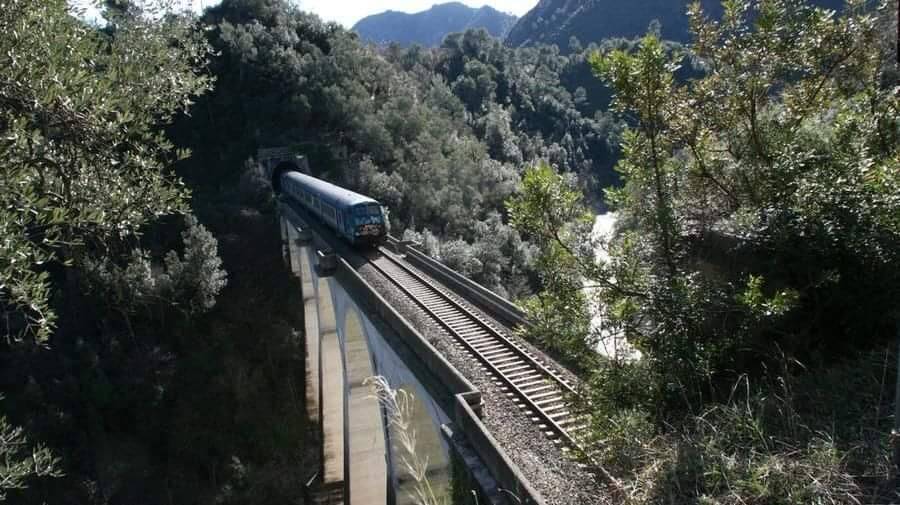 Ferrovia Cuneo-Nizza, chiesta l’istituzione di una quarta coppia di treni per la prossima estate