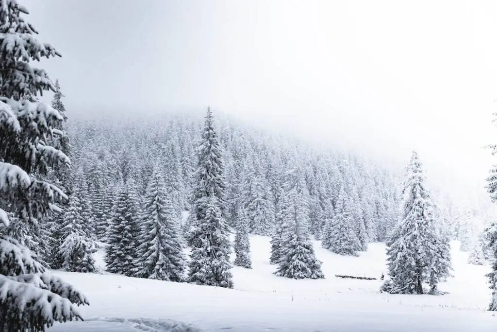 AGGIORNAMENTO METEO – Arriva la neve