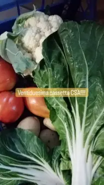 Busca, continua la C.S.A (Comunità Supporto all’Agricoltura) per l’azienda agricola Andrea Paschiero