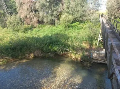 Savigliano, pulito un tratto del Mellea in frazione Levaldigi