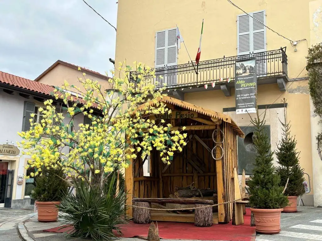 Chiusa Pesio si prepara all’8 marzo con un meraviglioso albero di fiocchi in piazza Cavour