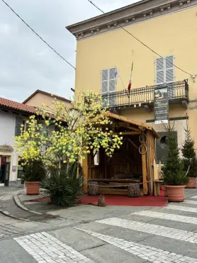 Chiusa Pesio si prepara all’8 marzo con un meraviglioso albero di fiocchi in piazza Cavour