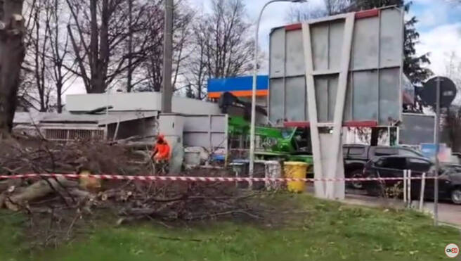 Cuneo, albero del Parco Monviso si abbatte su un’autovettura in sosta