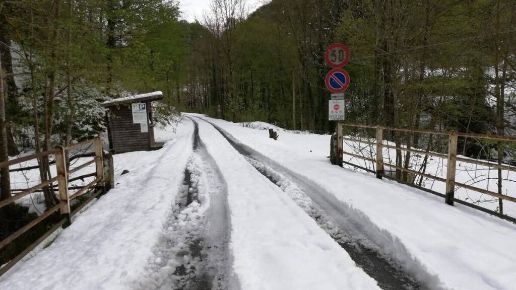 Chiusa causa neve la strada comunale tra la Certosa di Pesio e Pian delle Gorre