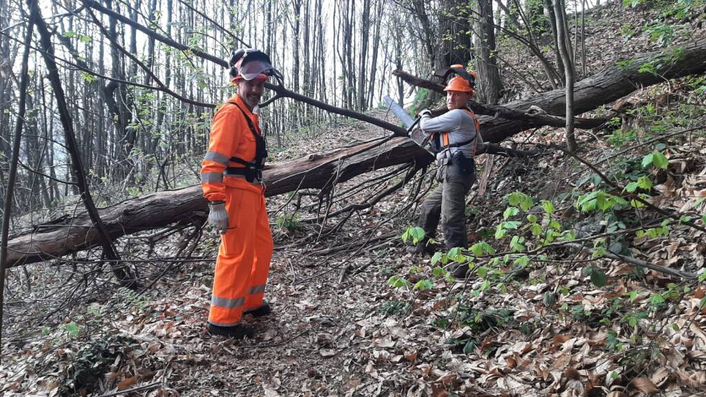 L’AIB di Peveragno rimuove gli alberi caduti sulle piste forestali comunali