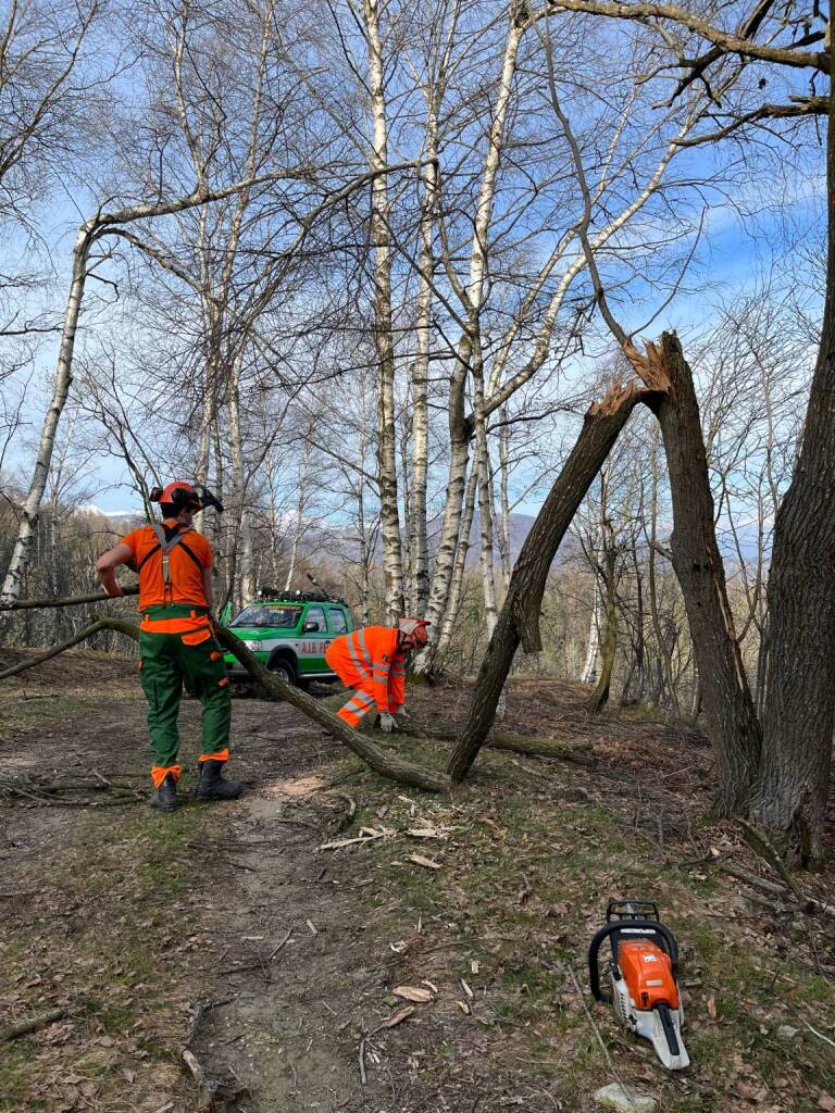 L'AIB di Peveragno rimuove gli alberi caduti sulle piste forestali comunali - LE IMMAGINI