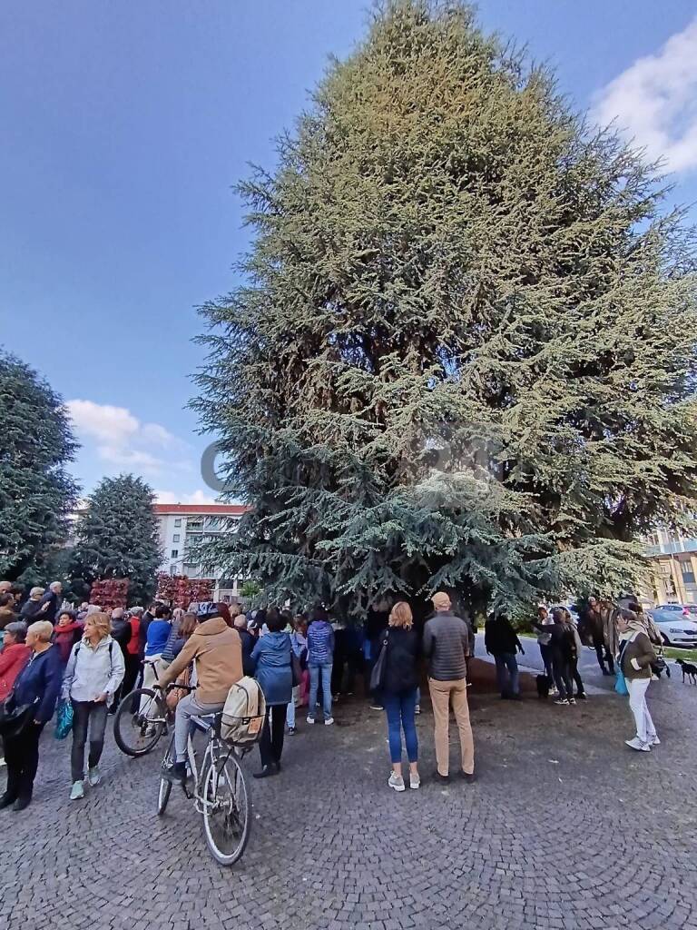 In piazza Europa in difesa dei cedri dell&#8217;Atlante &#8211; LE IMMAGINI