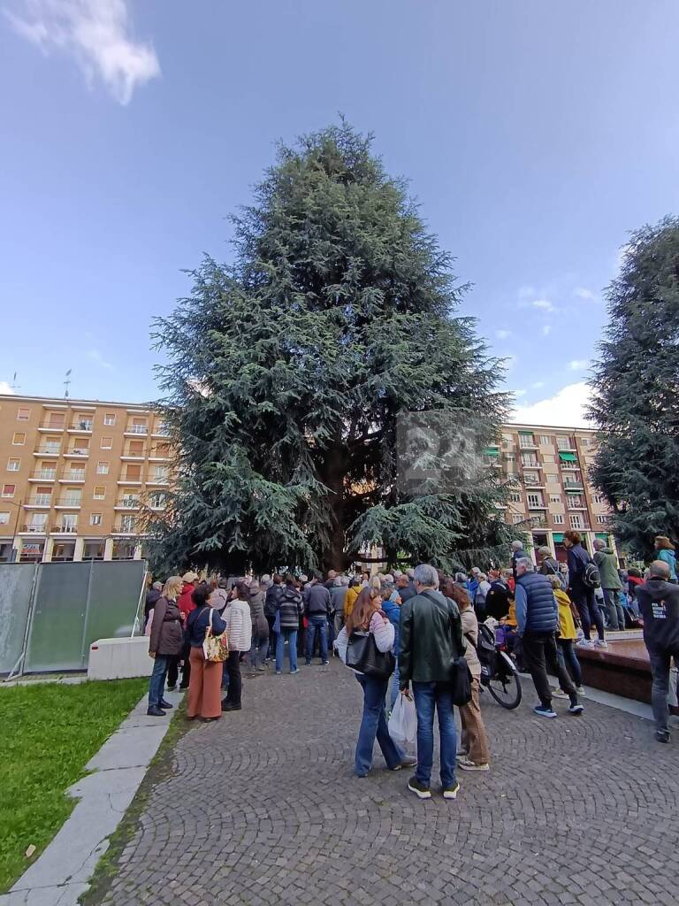 In piazza Europa in difesa dei cedri dell&#8217;Atlante &#8211; LE IMMAGINI