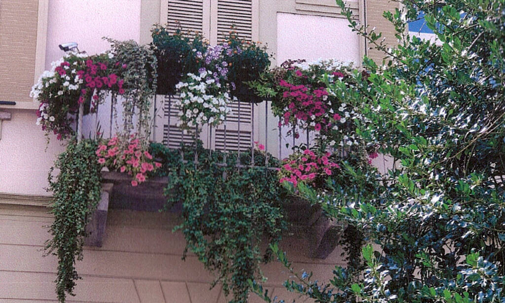 Balcone fiorito Alba