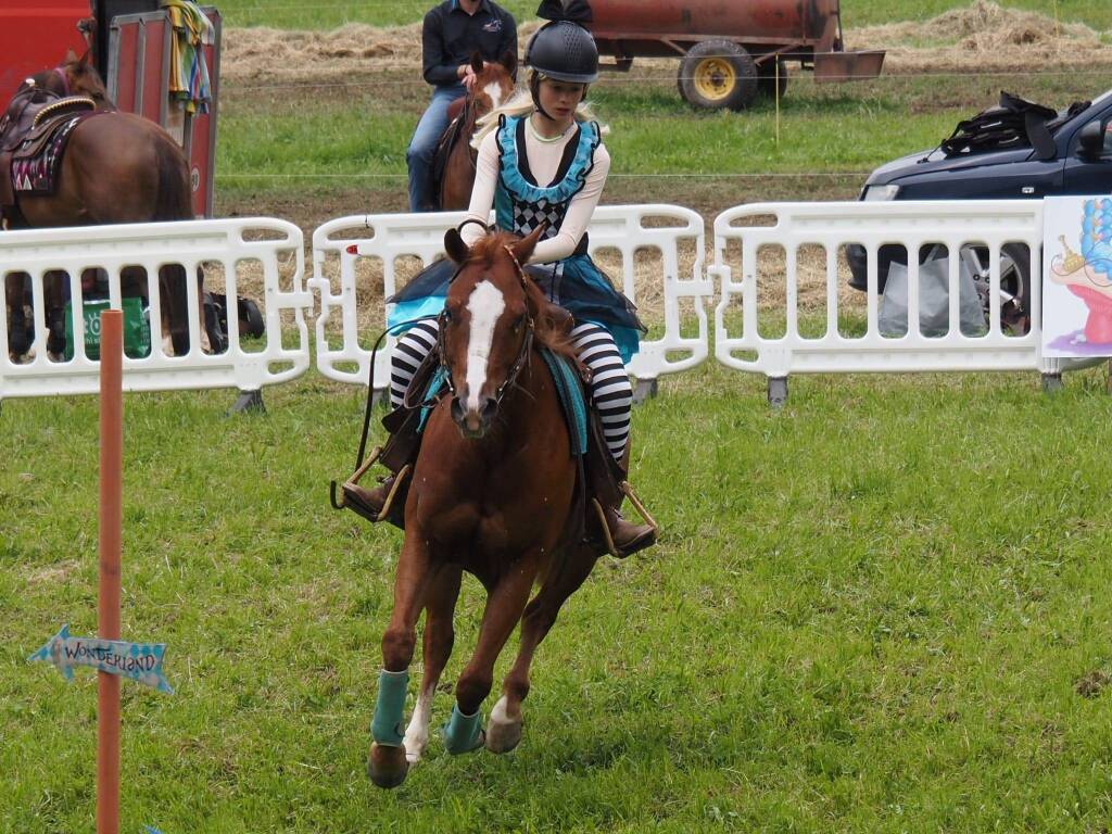 La Quagliotti Performance horses incanta con i suoi spettacoli equestri - GLI SCATTI