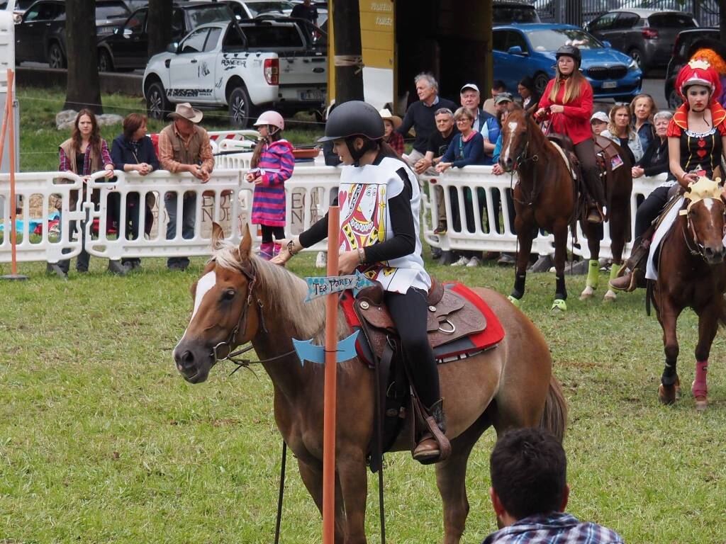 La Quagliotti Performance horses incanta con i suoi spettacoli equestri - GLI SCATTI