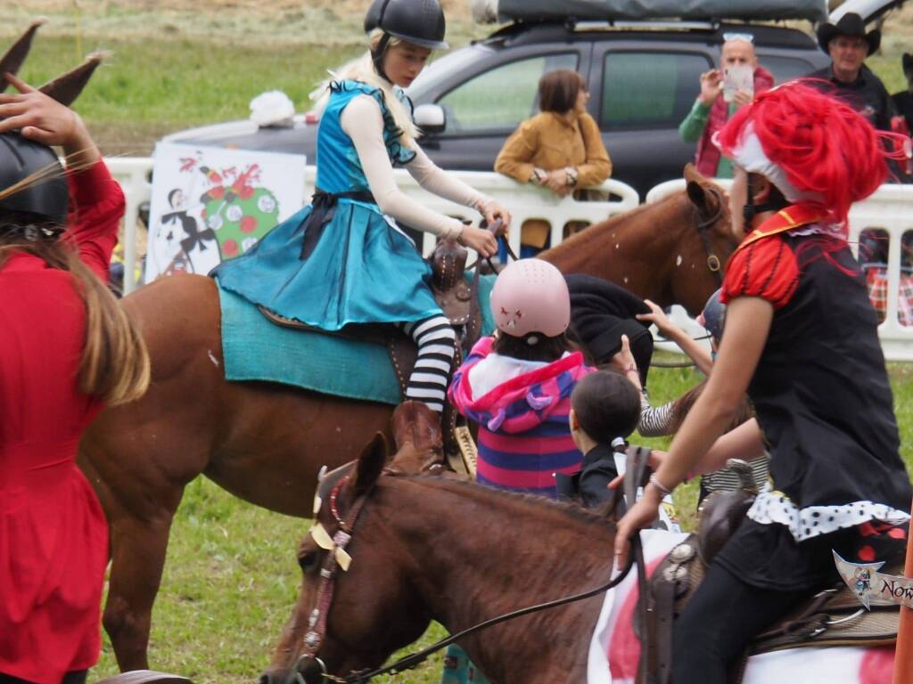 La Quagliotti Performance horses incanta con i suoi spettacoli equestri &#8211; GLI SCATTI
