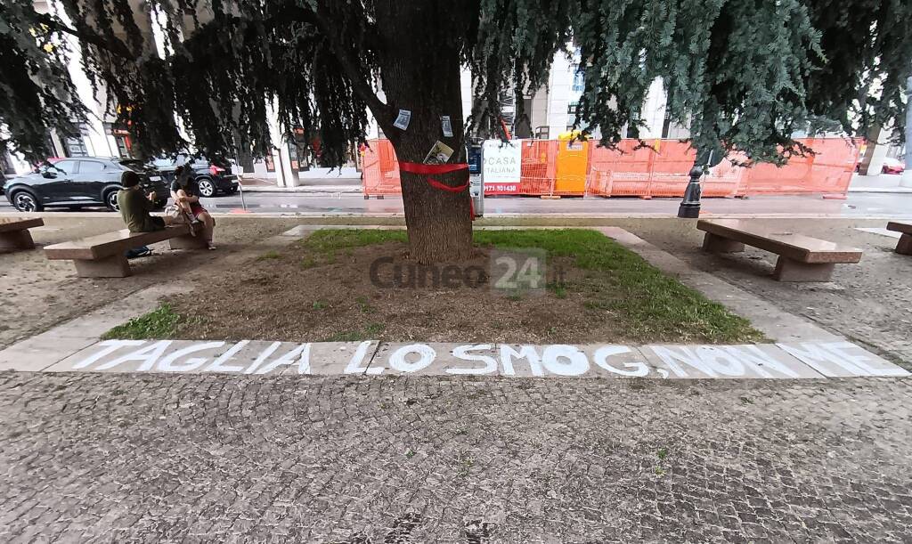 Cuneo, in piazza Europa &#8220;I cedri rimangono&#8221; &#8211; LE IMMAGINI DELLA MANIFESTAZIONE