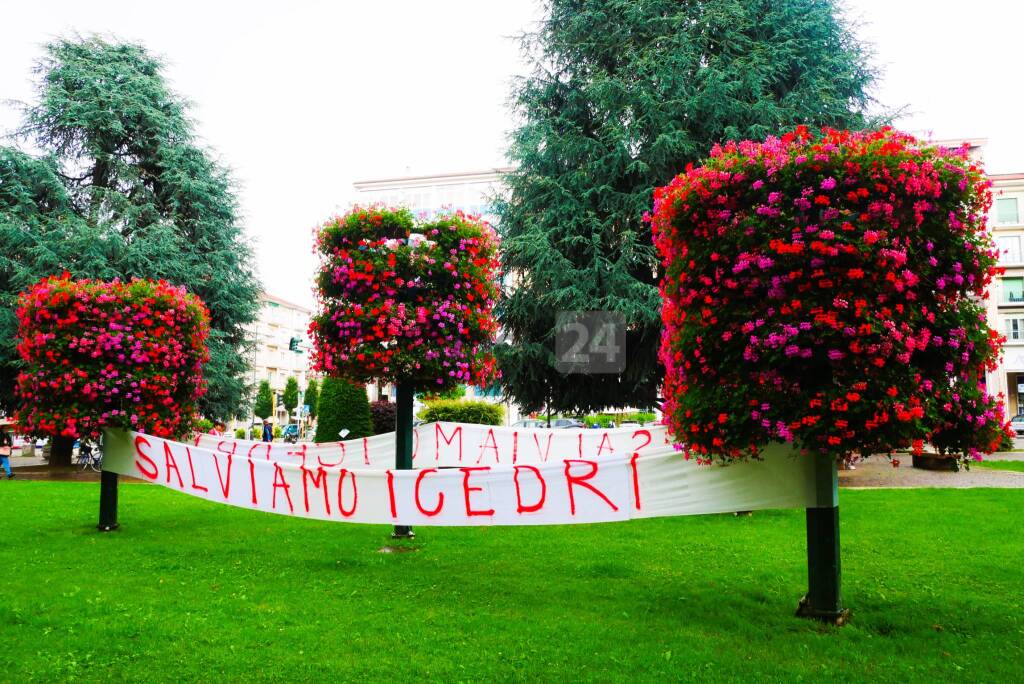 Cuneo, in piazza Europa "I cedri rimangono" - LE IMMAGINI DELLA MANIFESTAZIONE