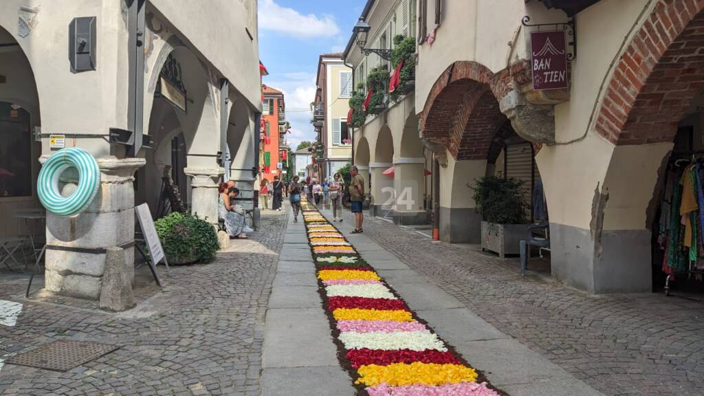 Cuneo, Infiorata 2024 &#8211; LE IMMAGINI