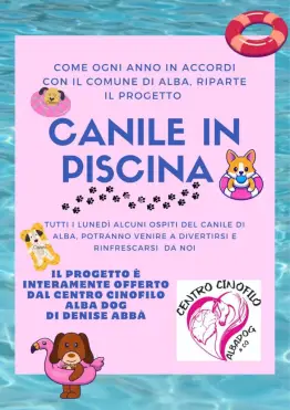 Ad Alba torna “Canile in piscina”